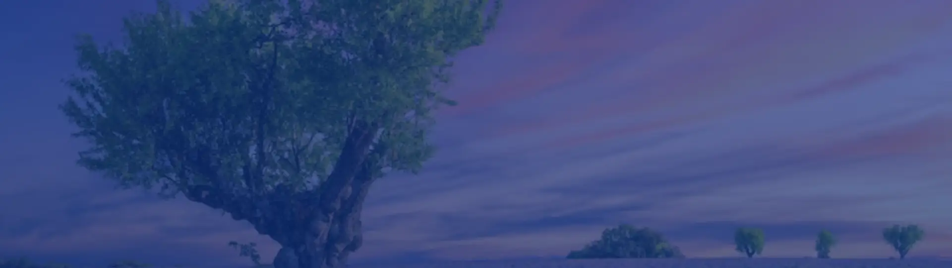 Receipt Mobile Printer